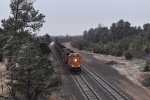 BNSF 6098/6051